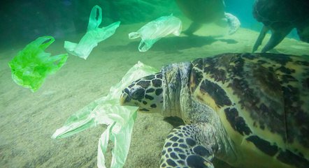 Julho sem Plástico chama a atenção para a necessidade de reduzir produção de lixo julho-sem-plastico-chama-a-atencao-para-a-necessidade-de-reduzir-producao-de-lixo